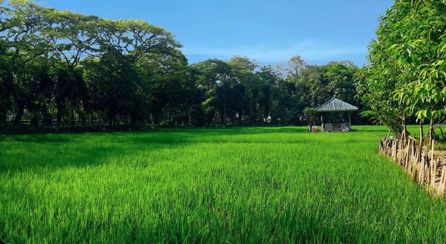 Jogging Track Krakatau Junction